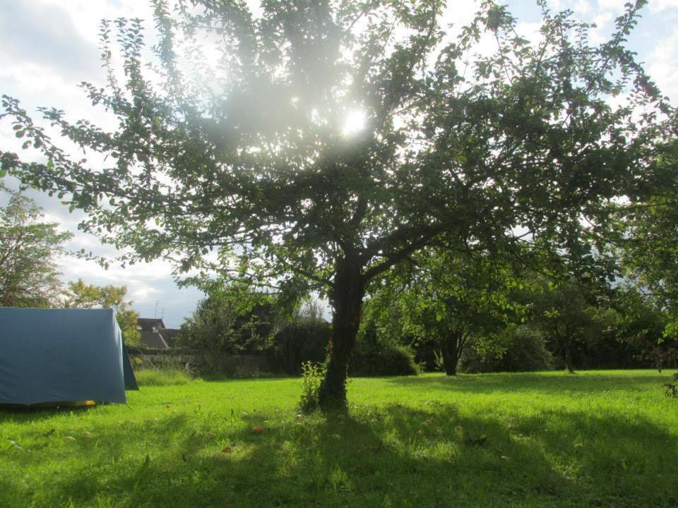 Fontaineblhostel Hostel & Camping Near Fontainebleau La Chapelle-la-Reine Esterno foto